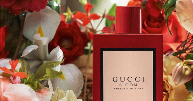 Роза вместо ванили: Gucci выпустили Gucci Bloom Ambrosia di Fiori