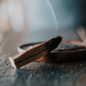 Почему аккорд гваякового дерева так популярен в современной парфюмерии?