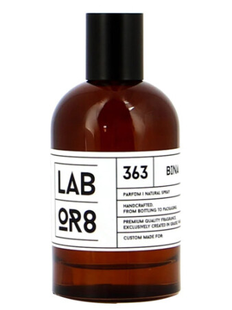 Labor8 BINA 363