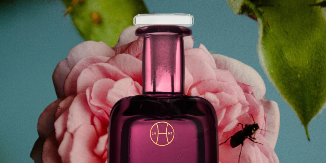 Красота с изъяном: новый аромат Rose With Insect от Perfumer H
