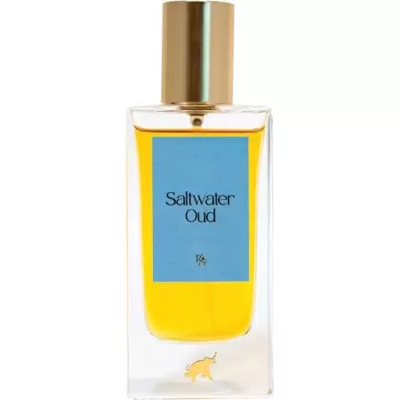 Ahom World / Zakir Gafur Saltwater Oud