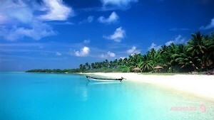 Ноты кокоса в парфюмерии