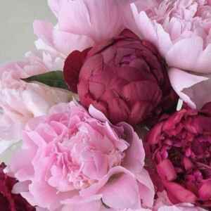 BYBOZO DECENT ты пахнешь весной и любовью