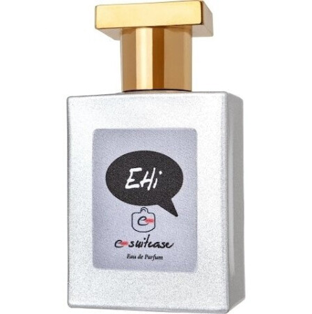 E-Suitcase Ehi