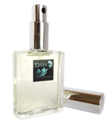 DSH Perfumes Couverture d'Hiver