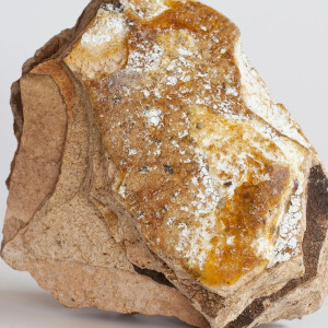 Как добывается и используется амбра