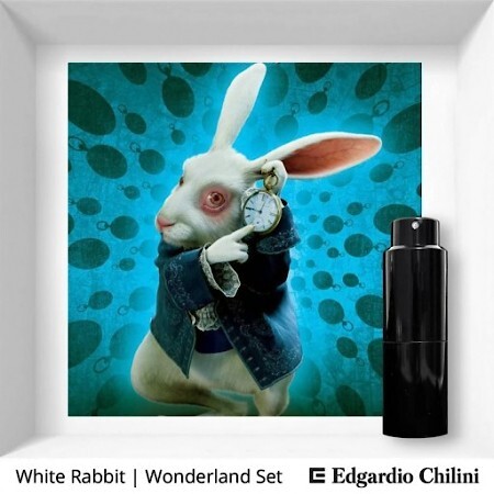 Edgardio Chilini White Rabbit Aromo