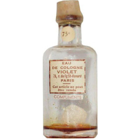 Violet / Veolay Compliments