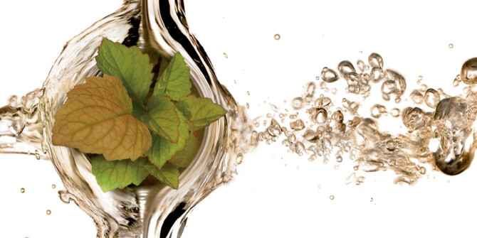 Zara выпустили четыре мужских аромата с нотами цветов, кожи и фруктов