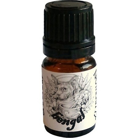 Smashing Apothekitty Bengal