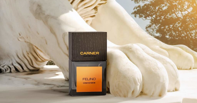 Новое за неделю: бестиарий, туманный Лондон и небо Лос-Анджелеса