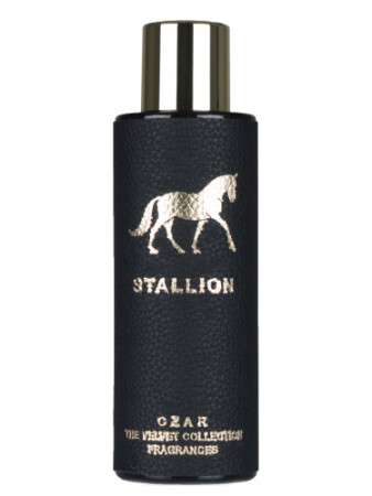 CZAR Stallion