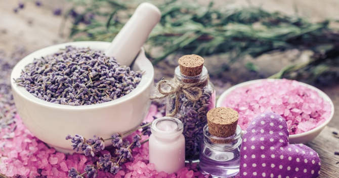 Какие запахи отпугивают комаров?