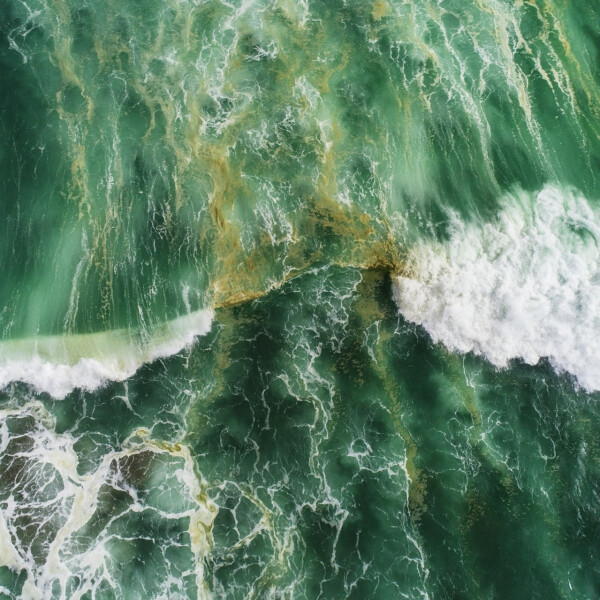 Ноты в ароматах