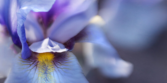 Тариф на лунный свет: Fakoshima выпустили в широкую продажу Moonlight Rainbow