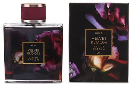 velvet bloom perfume next