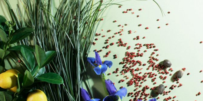 Вермут, ветер, ветивер: 3 древесных аромата на весну