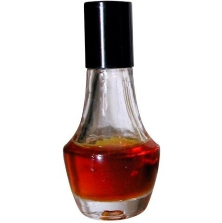 The Digger's Garden Sequoia