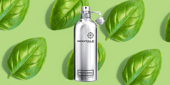 Fantastic Basilic Montale: в главной роли базилик