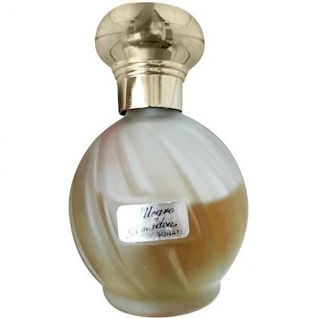 Pierre d'Avignon Allegro by Amadeus