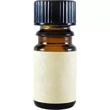 Arcana Wildcraft Professor T.S. Goodfellow’s Winter Correctives: Prosperity