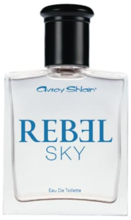 Avroy Shlain Rebel Sky