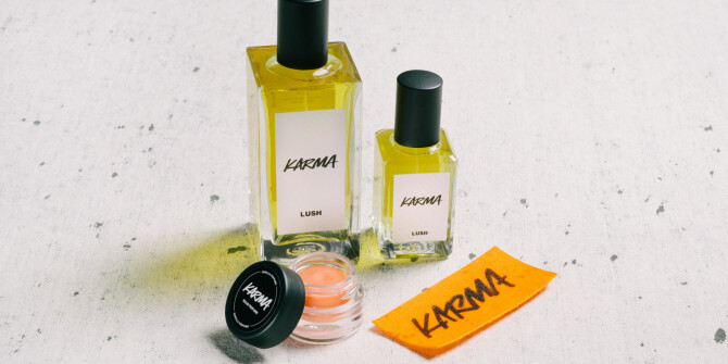 Парфюмерно-косметическая сеть Lush закроет все магазины в России