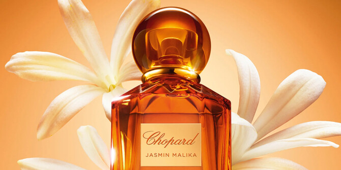 Баланс силы и женственности: новый аромат Jasmin Malika от Chopard