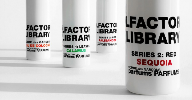 Comme des Garçons Parfums: космические оранжереи и ускользающая красота