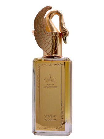 Denis Durand Narcisse au Miroir