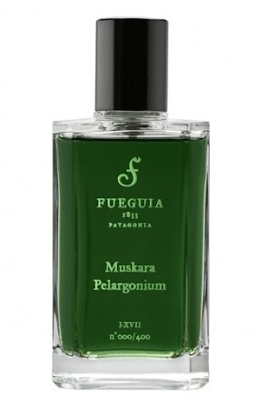 Fueguia 1833 Muskara Pelargonium