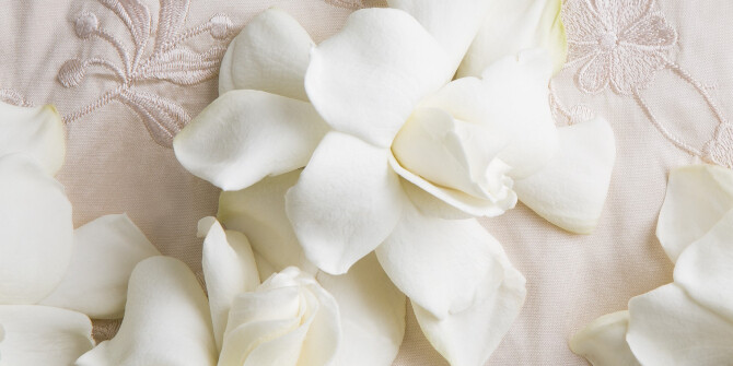 Korres выпустил цветочный аромат для женщин и мужчин — Lefko Eau De Toilette