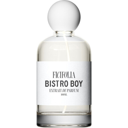 Ficifolia Bistro Boy
