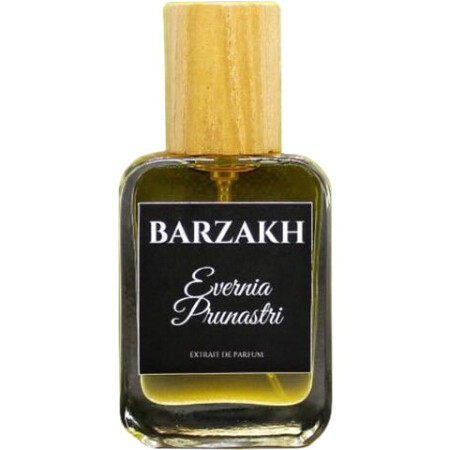 Barzakh Evernia Prunastri