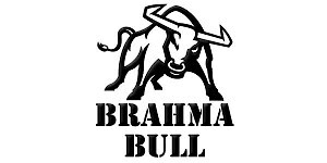 Brahma Bull