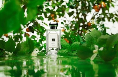 Jo Malone Basil Neroli