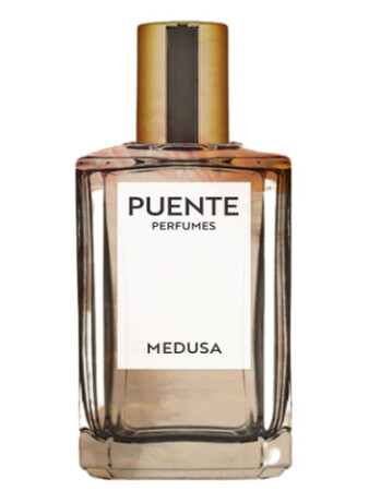House of Puente Medusa