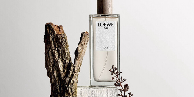 Если бы леса заговорили: 5 древесных ароматов