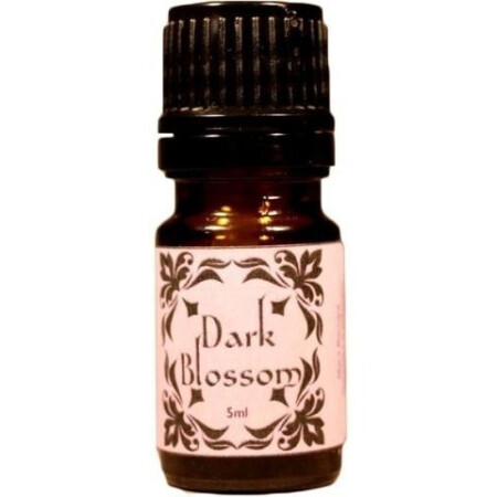 Black Baccara / Amorphous Dark Blossom