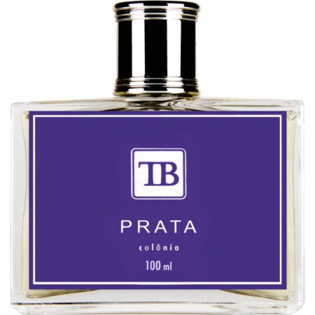 Tania Bulhões Prata Contemporaneo