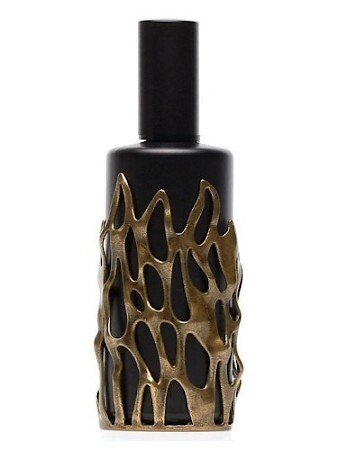 Goti Alchemico Visione 2 Fuoco