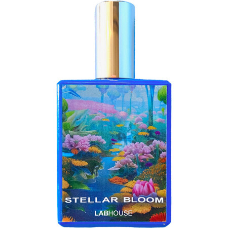 LabHouse Perfume Stellar Bloom