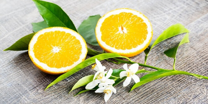 Александра Карлин составила для Parfums BDK Paris аромат Villa Néroli