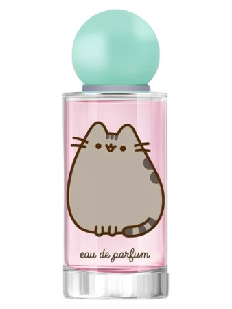 Bi-es Pusheen The Cat Sweet Like Candy