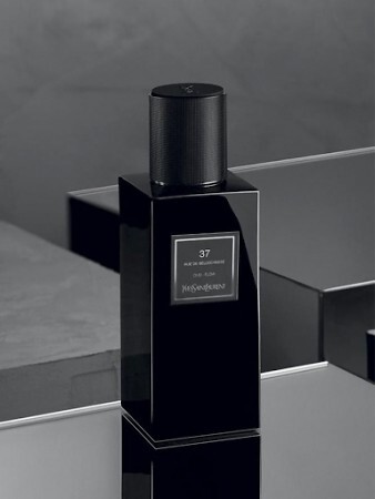 ysl 37