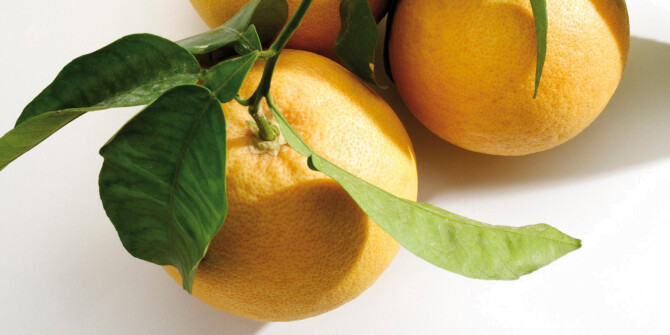 Знакомьтесь, новый бренд из Дании: Alûstre