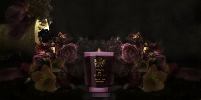 Ирис, копал, «царица ночи»: гид по коллекции Aedes de Venustas