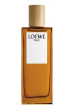 Loewe Solo Loewe