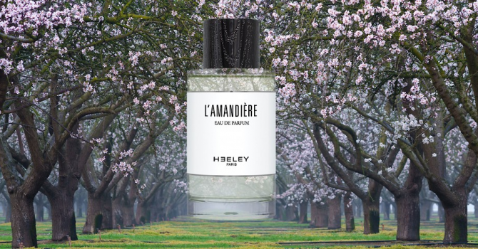 Новое за неделю: веб-панк и посвящение Рафаэлю Санти