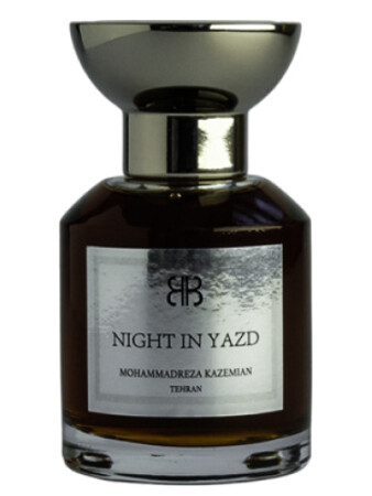Mohammadreza Kazemian Night in Yazd